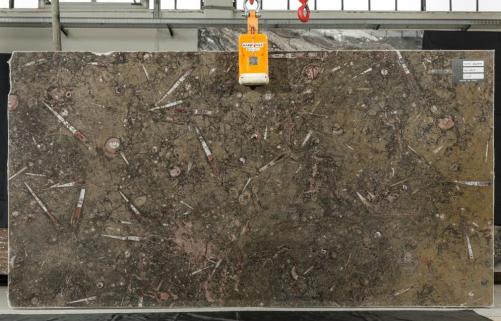 Supply polished slabs 0.8 cm in natural marble MARRON FOSSIL S0037. Detail image pictures 