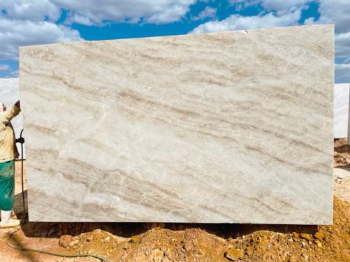 Supply sawn blocks 1.2 cm in natural quartzite NAICA D231025. Detail image pictures 