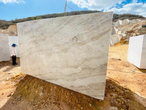 Supply sawn blocks 0.8 cm in natural quartzite NAICA D231025. Detail image pictures 