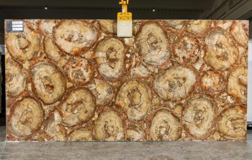 Supply polished slabs 0.8 cm in natural semi precious stone PETRIFIED WOOD BROWN TL0142. Detail image pictures 