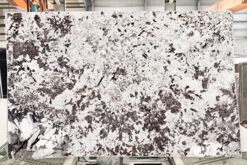 Supply polished slabs 0.8 cm in natural granite SPLENDOR WHITE 4221. Detail image pictures 