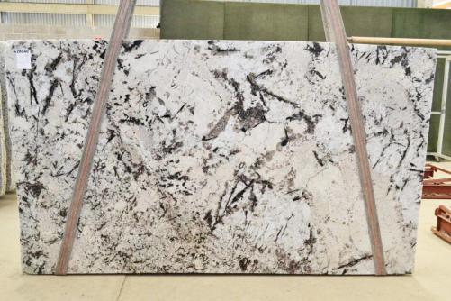 Supply polished slabs 1.2 cm in natural granite WHITE PERSIAN 2555. Detail image pictures 